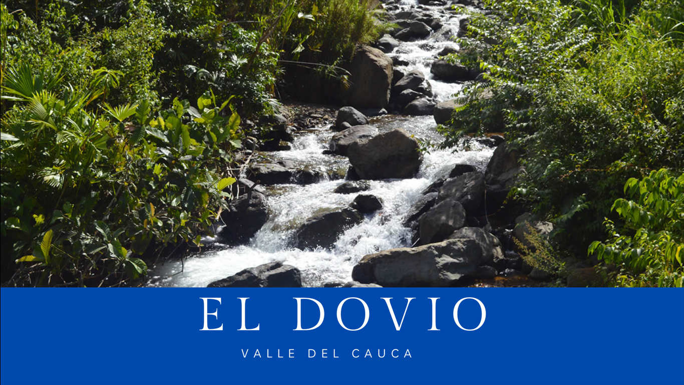 municipios-del-valle-del-cauca/el-dovio